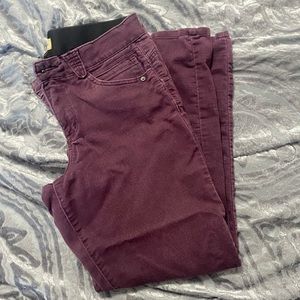 Democracy stretchy pants